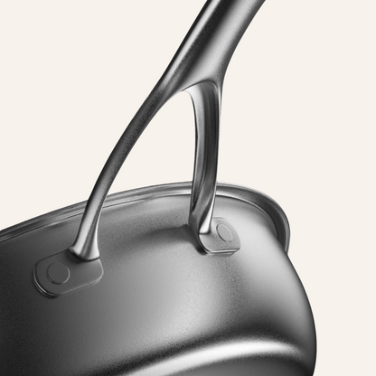 Titanium Pan Pro